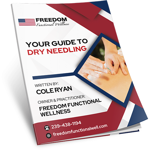 Dry Needling Guide (3D Cover)